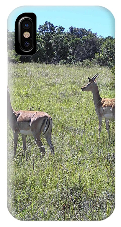 Safari iPhone X Case featuring the photograph Safari wildlife 2 by Karen Jane Jones
