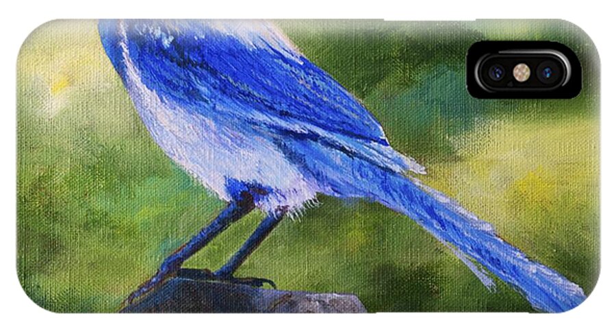Sentinel iPhone X Case featuring the painting Scrub Jay by AnnaJo Vahle