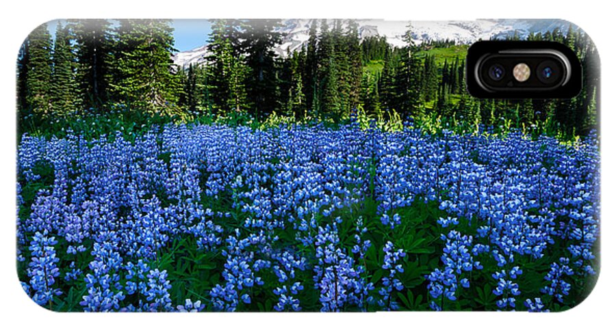 Mount Rainier iPhone X Case featuring the photograph Sea of Blue by Dan Mihai