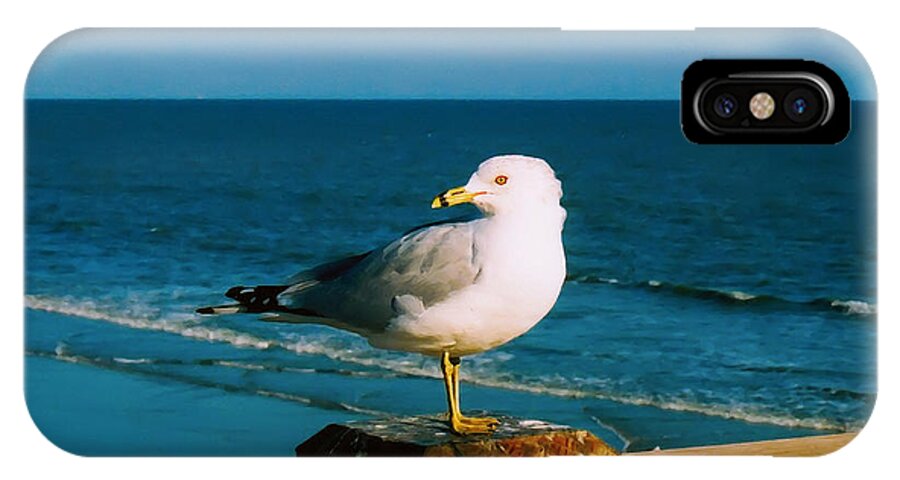 Seagull iPhone X Case featuring the digital art Seagull by Kara Stewart