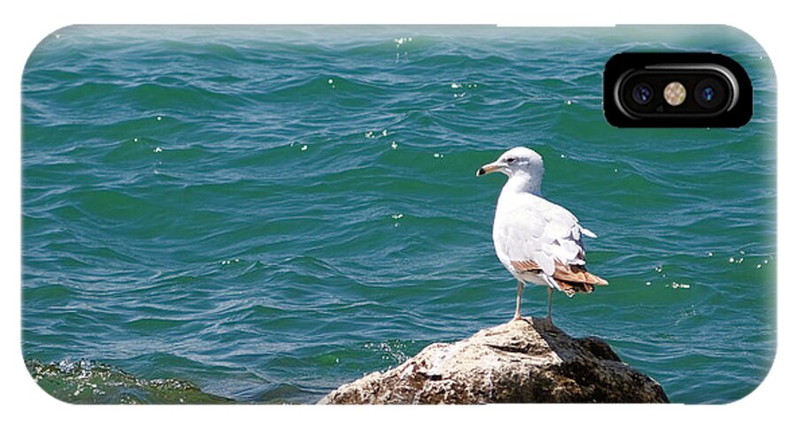 Michigan iPhone X Case featuring the photograph Seagull on Rock by Lars Lentz