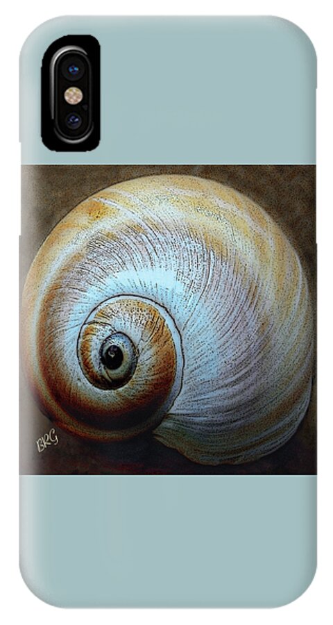 Seashell iPhone X Case featuring the photograph Seashells Spectacular No 36 by Ben and Raisa Gertsberg
