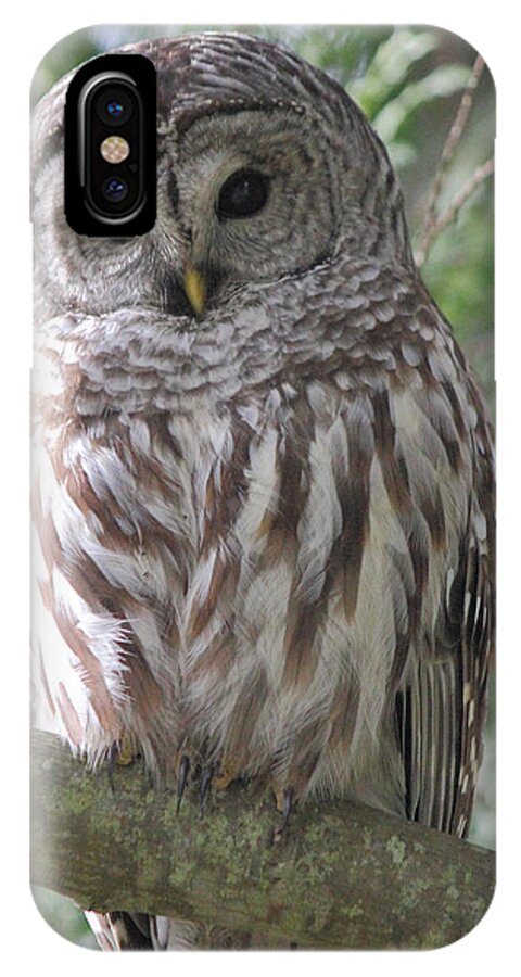 Owl iPhone X Case featuring the photograph Security Cam by Randy Hall