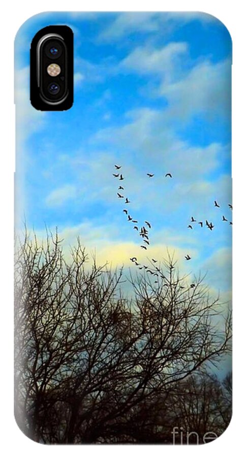 Sunrise iPhone X Case featuring the photograph Seize The Day by Robyn King
