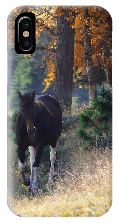 Horse iPhone X Case featuring the photograph September Surrender by Amanda Smith