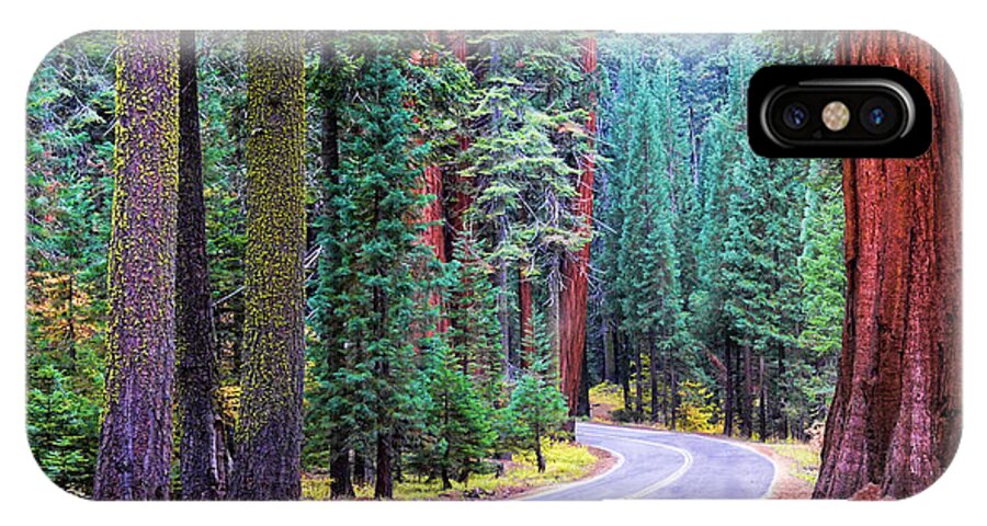 Fiorest iPhone X Case featuring the photograph Sequoia Hwy by Beth Sargent