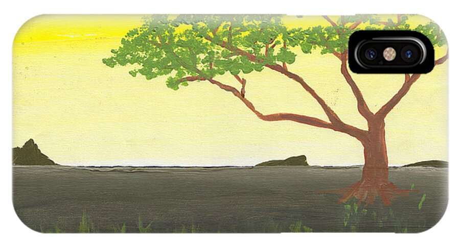 Serengeti iPhone X Case featuring the painting Serengeti by David Jackson
