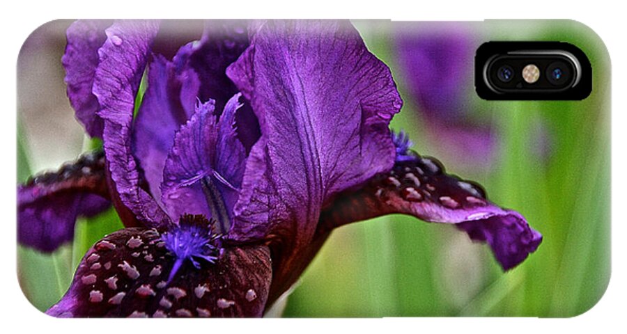 Flower iPhone X Case featuring the photograph Shades Of Purple by Susan Herber