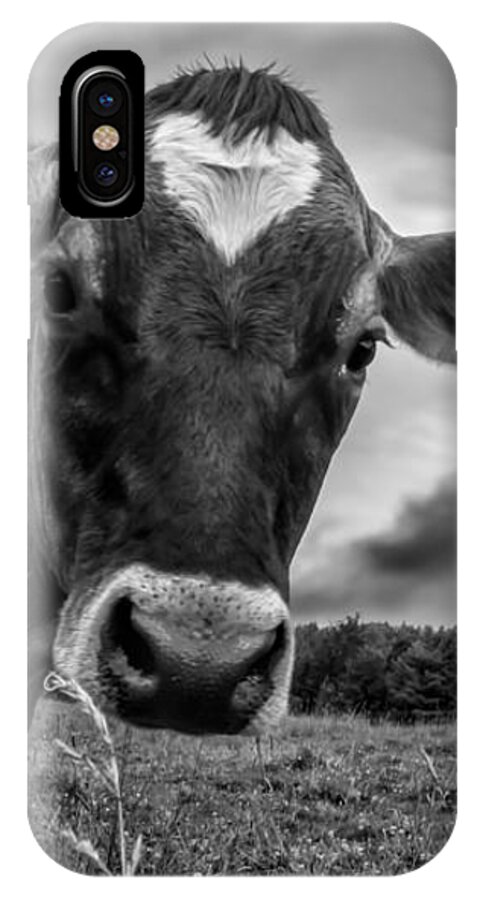 Cows iPhone X Case featuring the photograph She wears her heart for all to see by Bob Orsillo