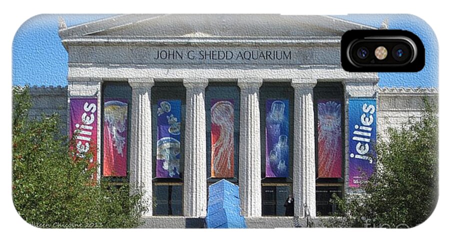 Chicago iPhone X Case featuring the photograph Shedd Aquarium-1 by Kathie Chicoine