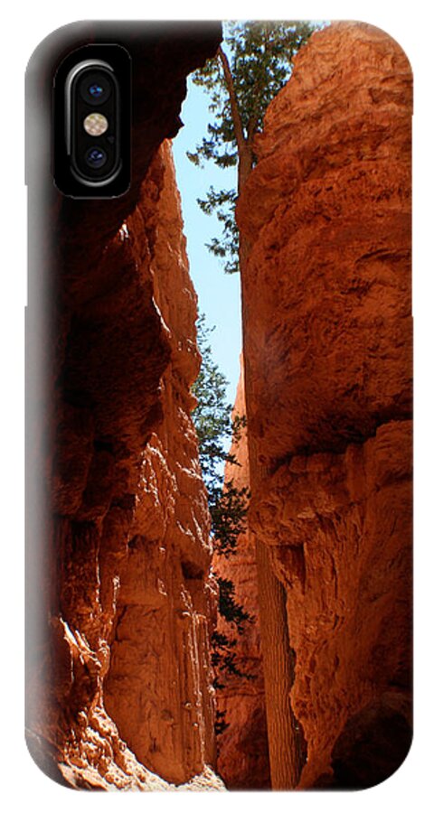 Bryce Canyon National Park iPhone X Case featuring the photograph Sherbet Walls by Jon Emery