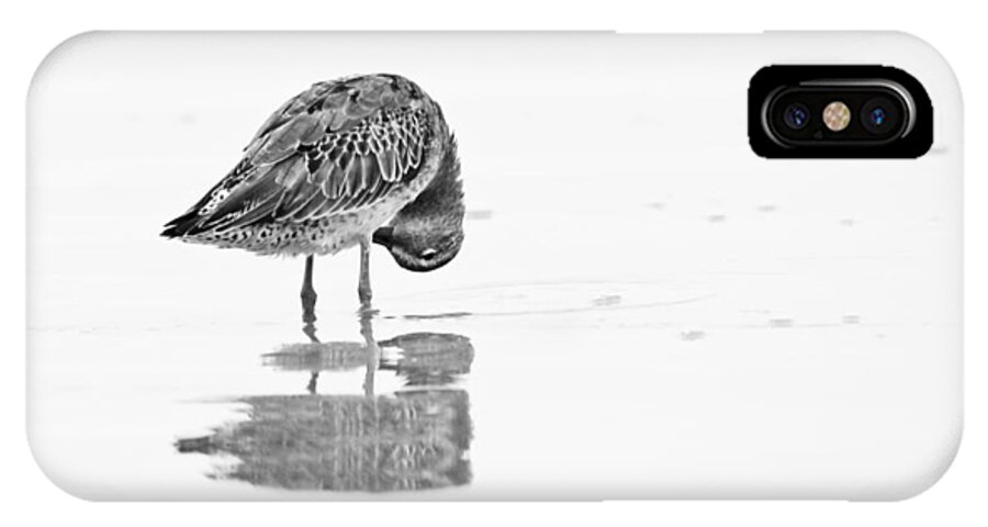 Bird iPhone X Case featuring the photograph Short Billed Dowitcher by Bob Decker