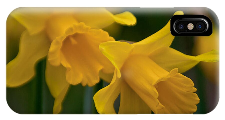Daffodils iPhone X Case featuring the photograph Shout Out of Spring by Tikvah's Hope