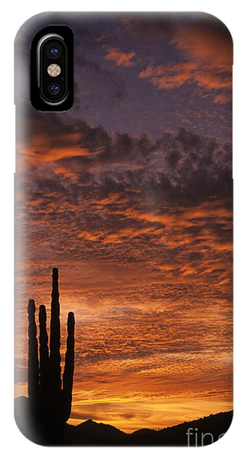 American Southwest iPhone X Case featuring the photograph Silhouetted saguaro cactus sunset at dusk with dramatic clouds by Jim Corwin