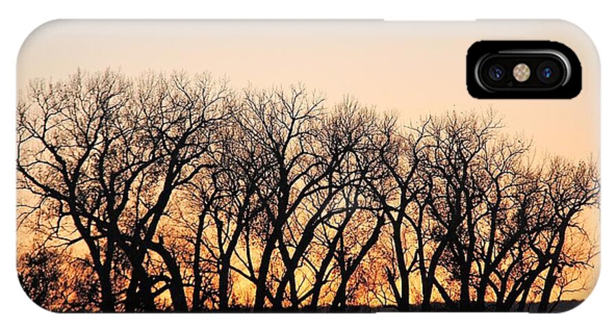 Trees iPhone X Case featuring the photograph Silhouettes by Yumi Johnson