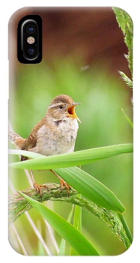 Songbirds iPhone X Case featuring the photograph Singing for a companion by I'ina Van Lawick