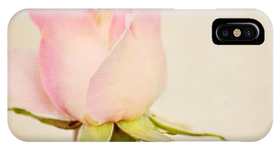 Rose iPhone X Case featuring the photograph Single baby pink rose by Lyn Randle