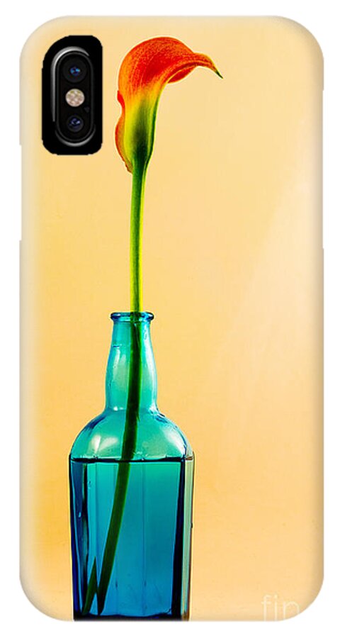 Calla Lily iPhone X Case featuring the photograph Single Calla In Blue Bottle by Richard J Thompson 