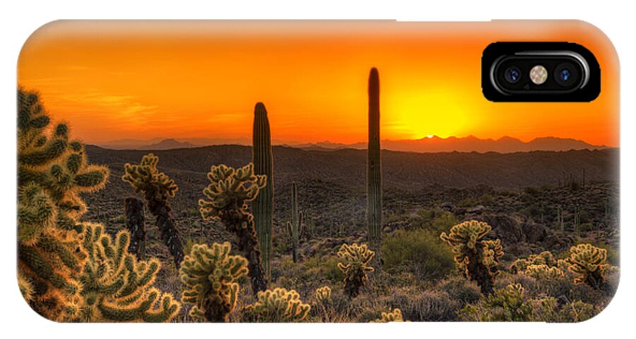 Cholla iPhone X Case featuring the photograph Skyfire Cholla by Anthony Citro