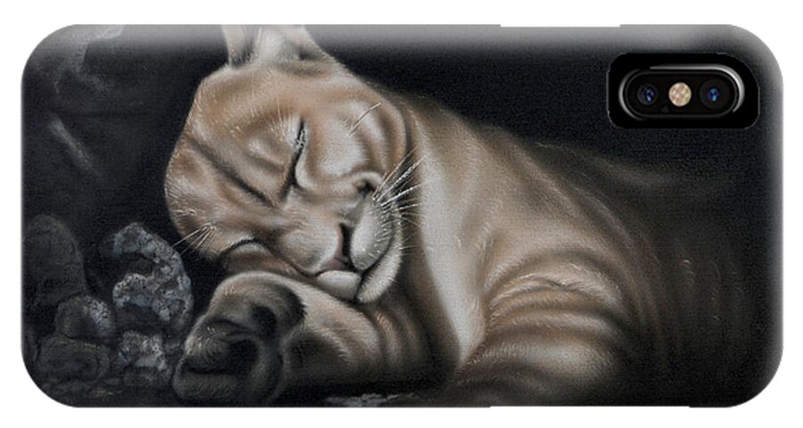 Airbrushed Oil iPhone X Case featuring the painting Sleeping Lion by Sam Davis Johnson