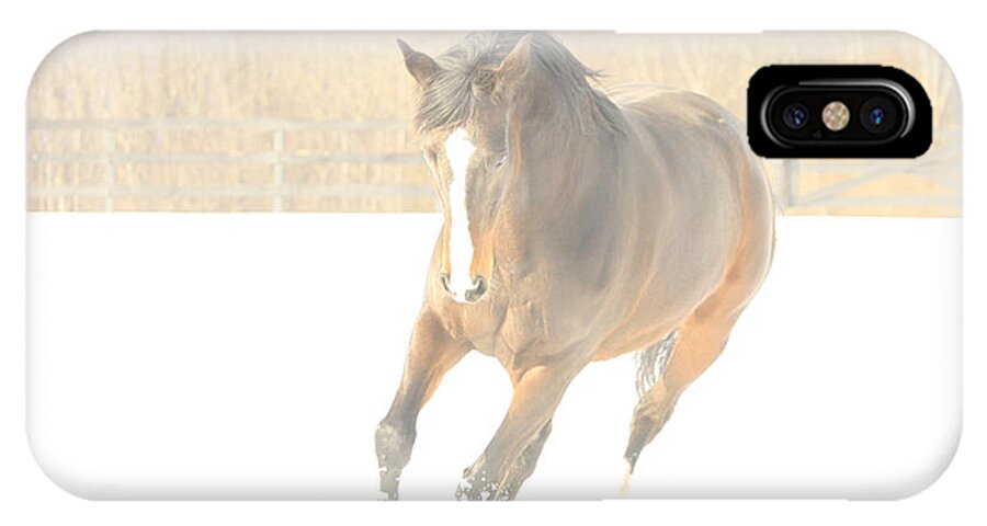 Horse iPhone X Case featuring the photograph Snow Fun by Carol Lynn Coronios