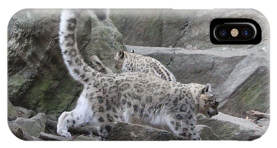 Leopard iPhone X Case featuring the photograph Snow leapord by Denise Cicchella