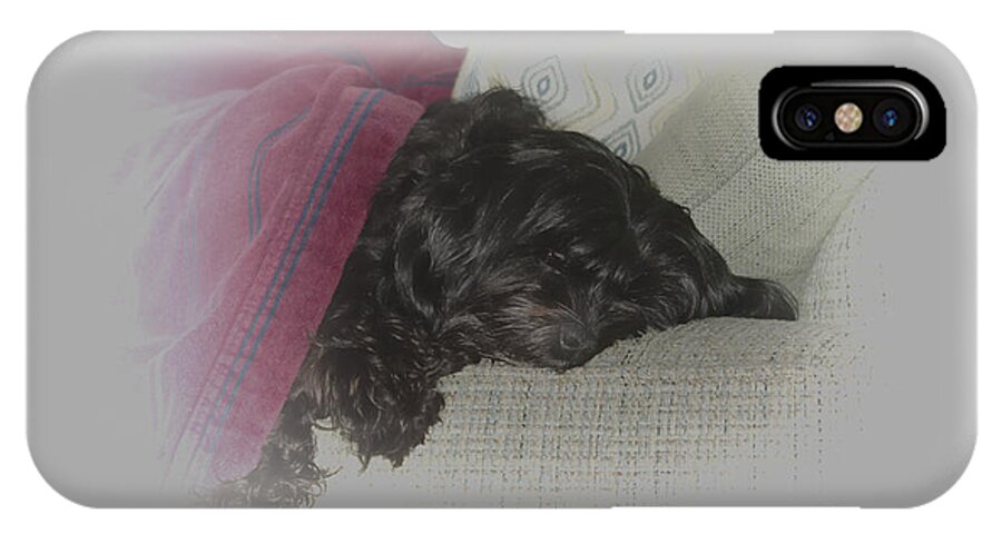Dog iPhone X Case featuring the photograph Snowday Nap by Joe McCormack Jr