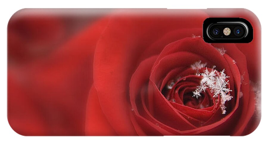 Seasonal iPhone X Case featuring the photograph Snowflakes on a Rose by Lori Grimmett