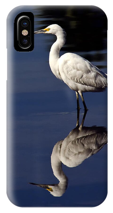 Snowy Egret iPhone X Case featuring the photograph Snowy Egret Reflection by Saija Lehtonen