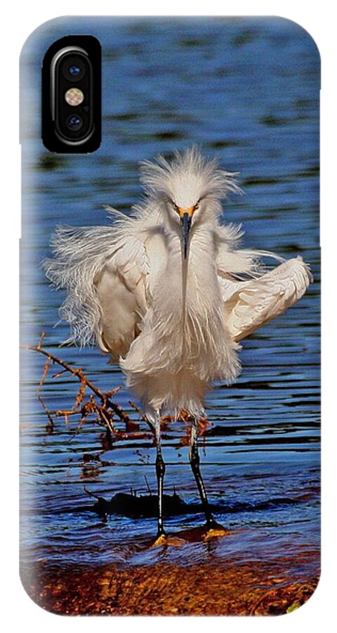 Snowy Egret iPhone X Case featuring the photograph Snowy Egret With Yellow Feet by Tom Janca