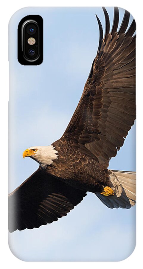 Eagle iPhone X Case featuring the photograph Soaring American Bald Eagle by Bill Wakeley
