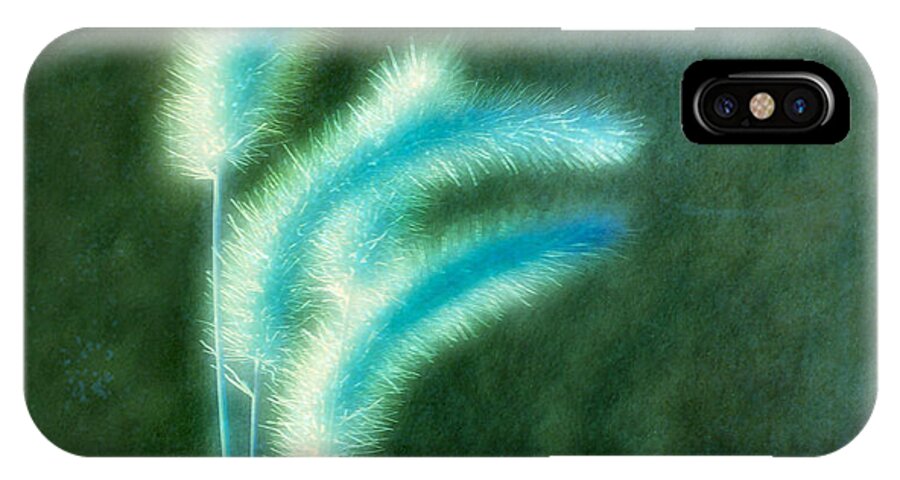 Grass iPhone X Case featuring the photograph Soft Blue Grass by Gothicrow Images
