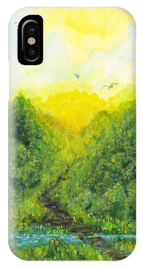 Sonsoshone iPhone X Case featuring the painting Sonsoshone by Holly Carmichael