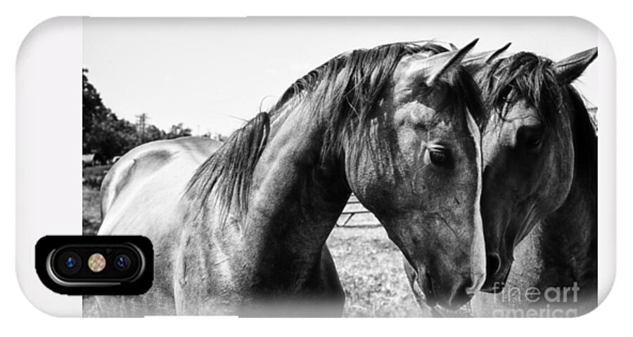 Horses iPhone X Case featuring the photograph Soul Mates by Toni Hopper