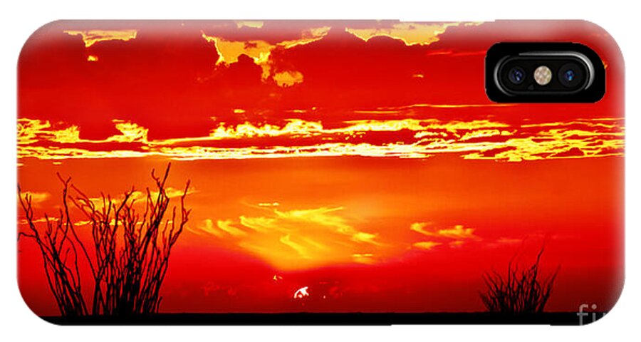 Arizona iPhone X Case featuring the photograph Southwest Sunset by Robert Bales