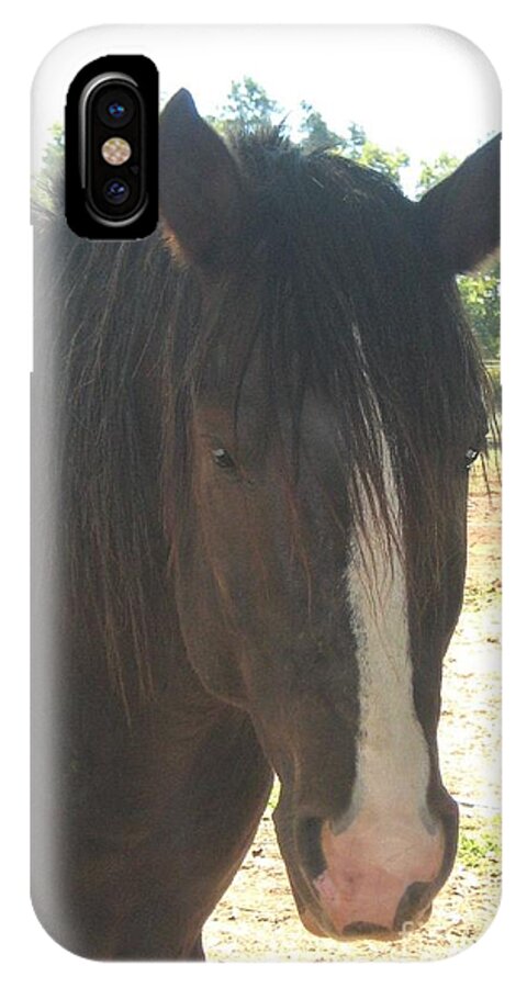 Horse iPhone X Case featuring the photograph Spirit by Wendy Coulson