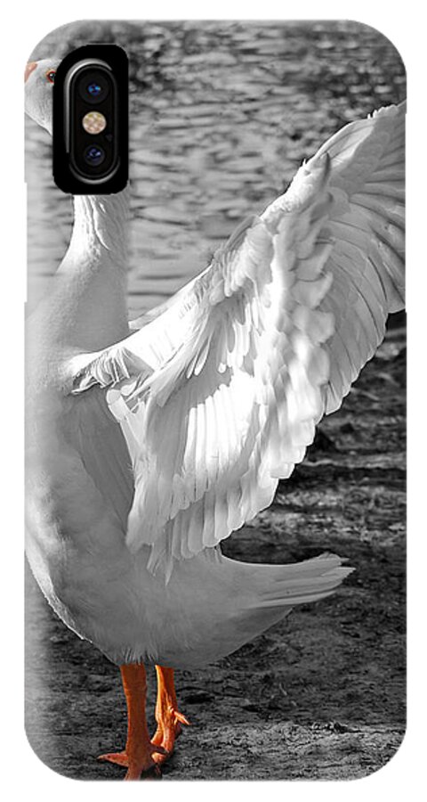 Landscape iPhone X Case featuring the photograph Spread Your Wings B and W by Lisa Phillips