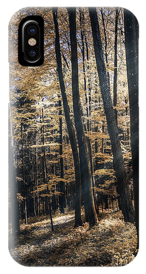 May iPhone X Case featuring the photograph Spring Forest by Bruno Santoro