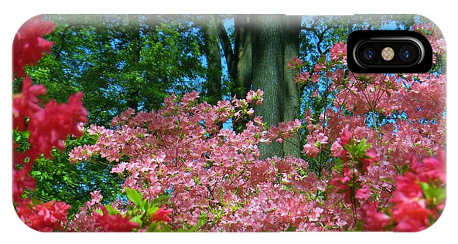 Flowers iPhone X Case featuring the photograph Spring Garden Color by Jeanette Oberholtzer