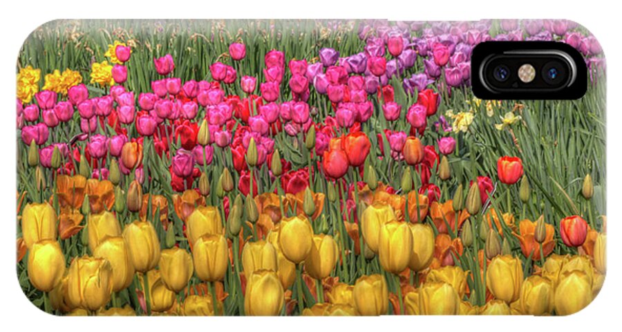 Spring iPhone X Case featuring the photograph Spring Sensations by Harold Rau
