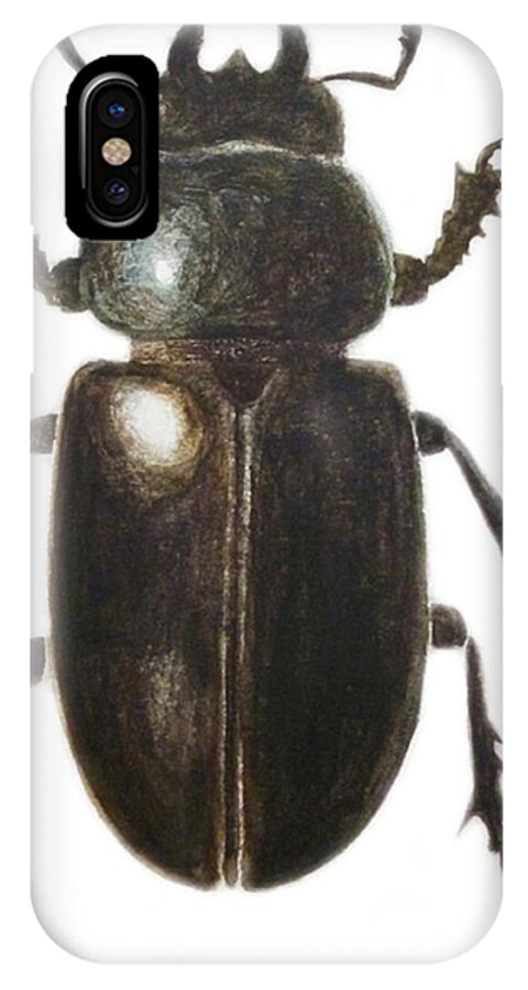 Stag Beetle; Beetle; Insect; Black iPhone X Case featuring the painting Stag Beetle by Ele Grafton