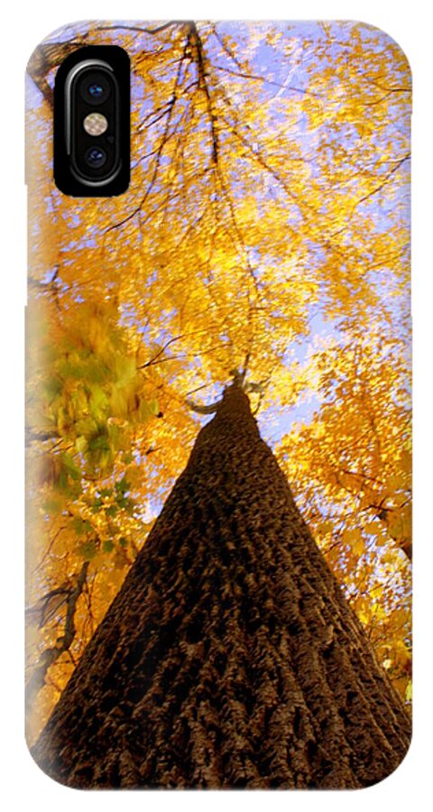 Autumn iPhone X Case featuring the photograph Standing Tall by Andrea Platt