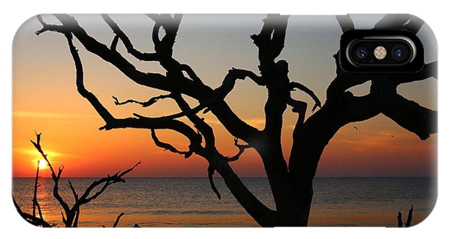  Jekyll Island iPhone X Case featuring the photograph Storm Skeletons by Marty Fancy