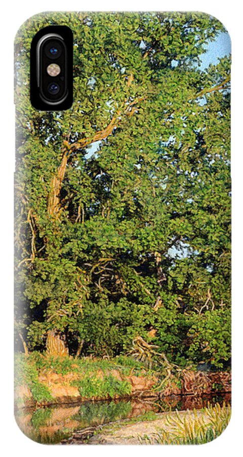 Trees. Streams iPhone X Case featuring the drawing Streamside Cottonwood by Bruce Morrison