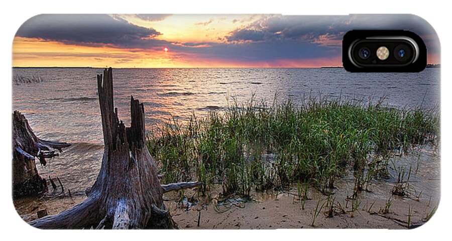 Alabama iPhone X Case featuring the photograph Stumps and Sunset on Oyster Bay by Michael Thomas