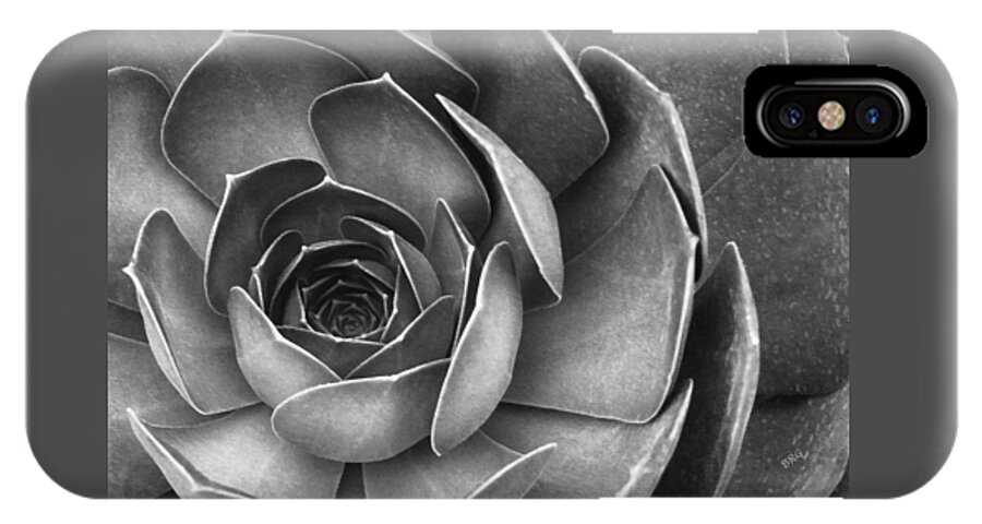 Botanical Macro iPhone X Case featuring the photograph Succulent In Black And White by Ben and Raisa Gertsberg