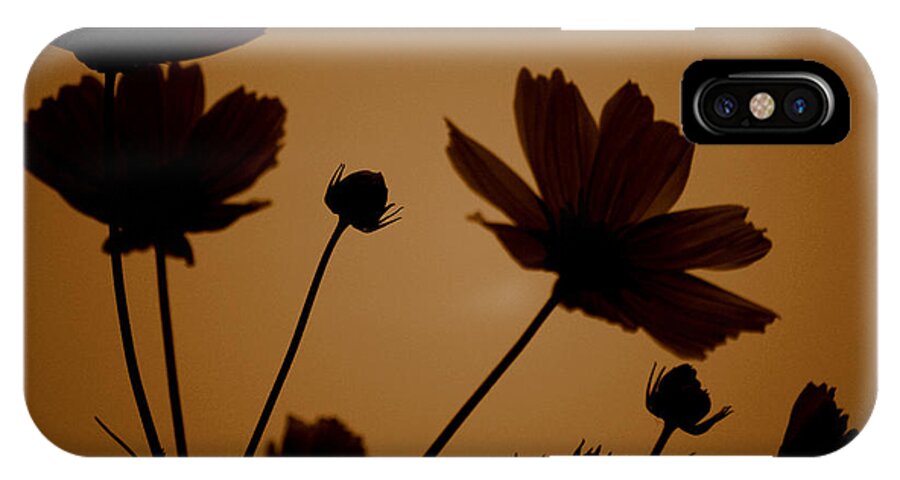 Sepia iPhone X Case featuring the photograph Summer Evening Cosmos #1 by Kathy Sampson