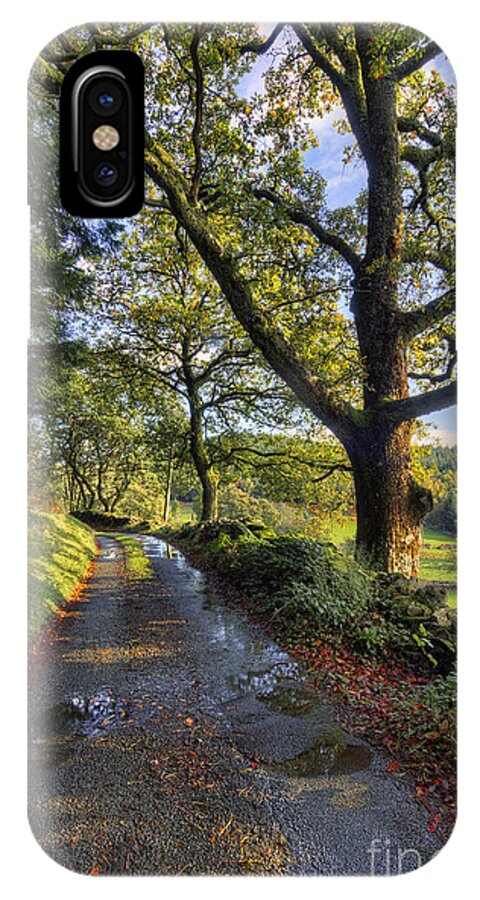 Country iPhone X Case featuring the photograph Sun after the Rain by Ian Mitchell