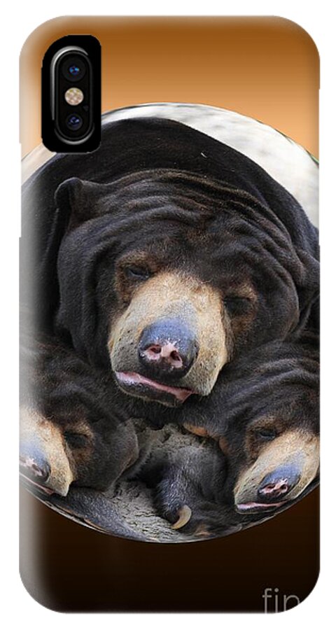 Bears iPhone X Case featuring the photograph Sun Bears in a Ball by Rick Rauzi