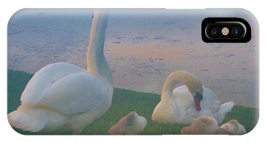 Animals iPhone X Case featuring the photograph Sun Setting on Swan Family by Jeanette Oberholtzer